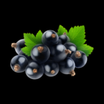 Blackcurrant